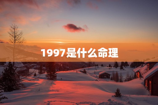 1997是什么命理