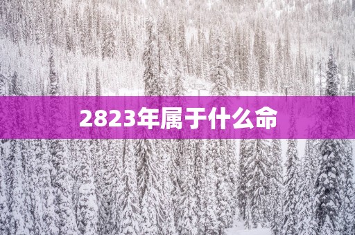 2823年属于什么命