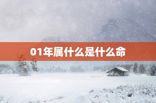 01年属什么是什么命