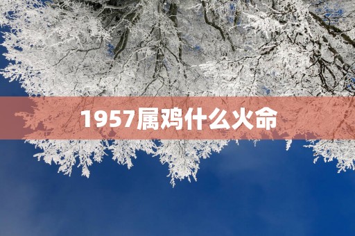 1957属鸡什么火命