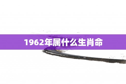 1962年属什么生肖命