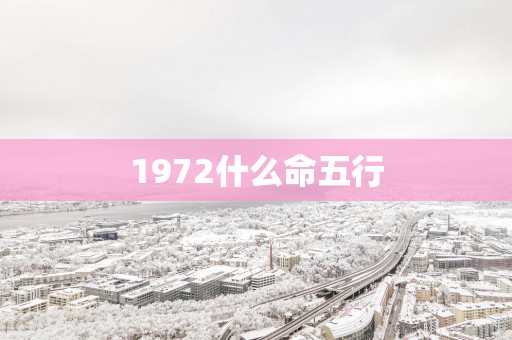 1972什么命五行