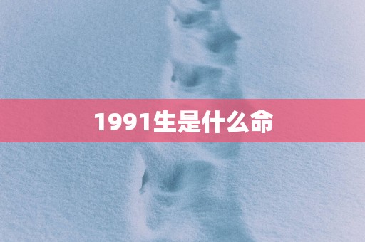 1991生是什么命