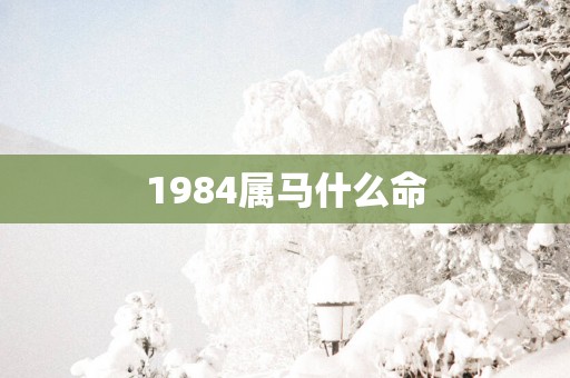 1984属马什么命