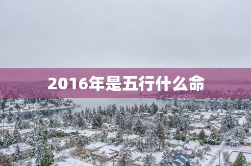 2016年是五行什么命