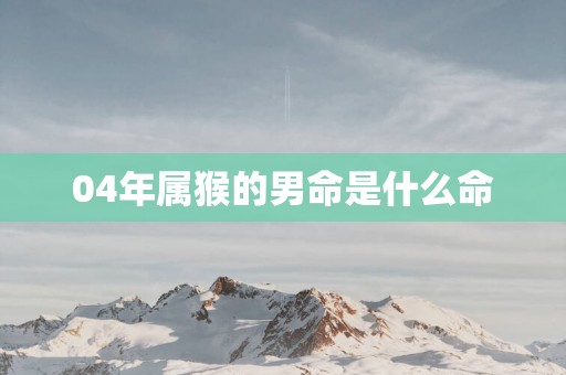 04年属猴的男命是什么命
