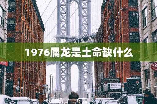 1976属龙是土命缺什么