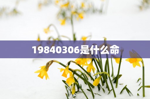19840306是什么命
