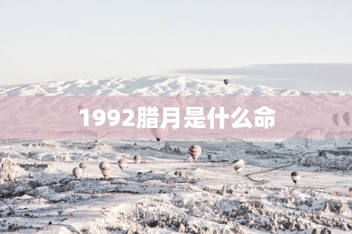 1992腊月是什么命