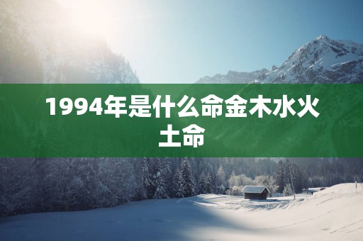 1994年是什么命金木水火土命