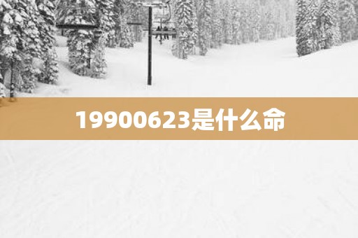 19900623是什么命