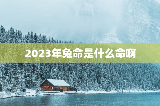 2025年兔命是什么命啊