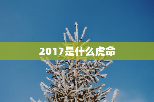 2017是什么虎命