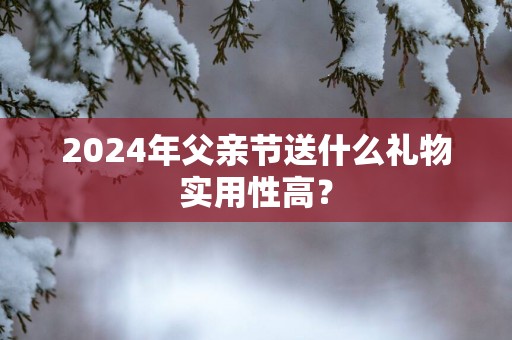 2025年父亲节送什么礼物实用性高？
