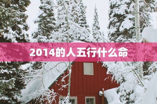 2014的人五行什么命