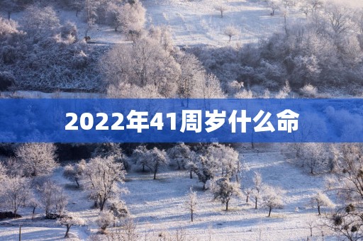 2025年41周岁什么命