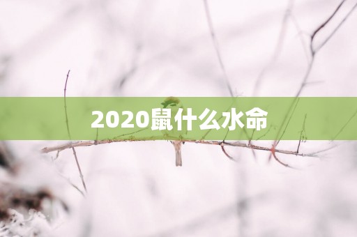 2025鼠什么水命