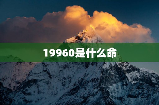 19960是什么命