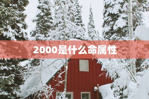 2000是什么命属性