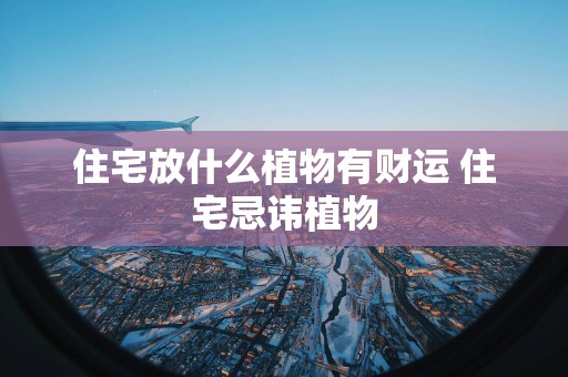 住宅放什么植物有财运 住宅忌讳植物