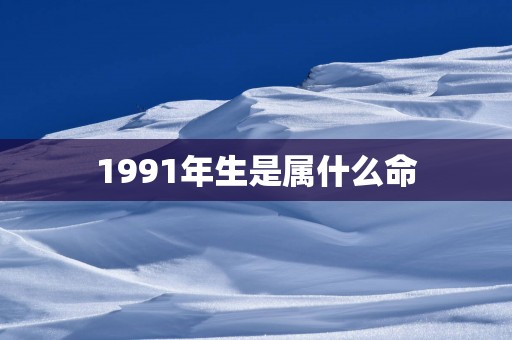 1991年生是属什么命