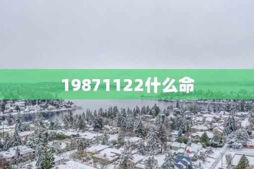 19871122什么命