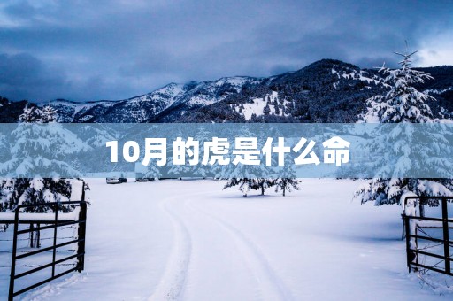 10月的虎是什么命