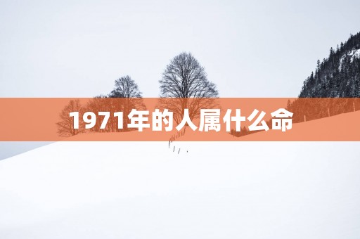 1971年的人属什么命