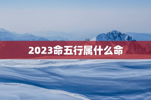 2025命五行属什么命