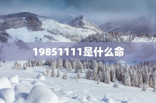 19851111是什么命