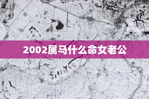 2002属马什么命女老公