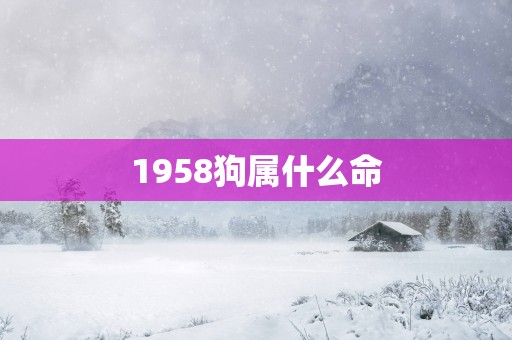 1958狗属什么命