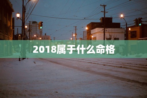 2018属于什么命格