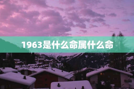 1963是什么命属什么命