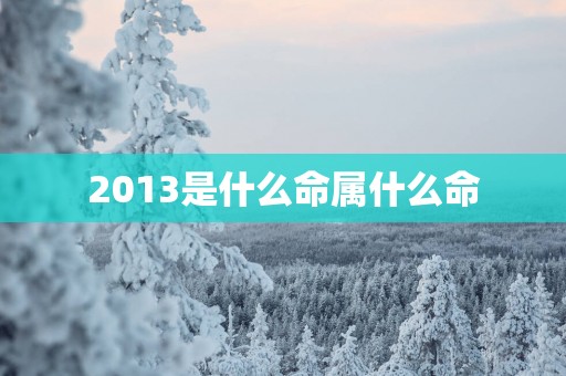 2013是什么命属什么命