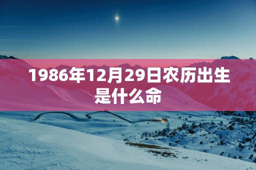 1986年12月29日农历出生是什么命