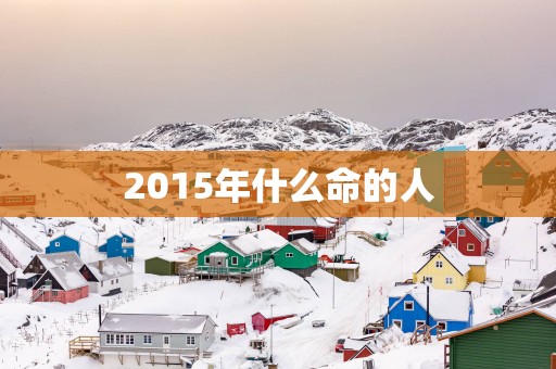2015年什么命的人