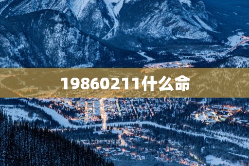19860211什么命