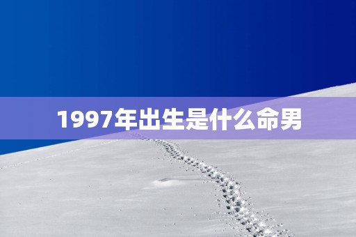 1997年出生是什么命男