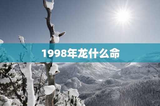 1998年龙什么命