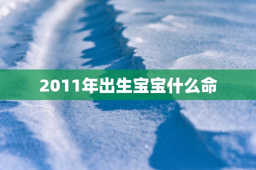 2011年出生宝宝什么命