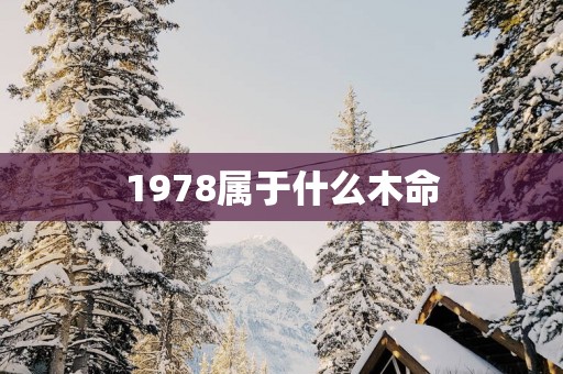 1978属于什么木命