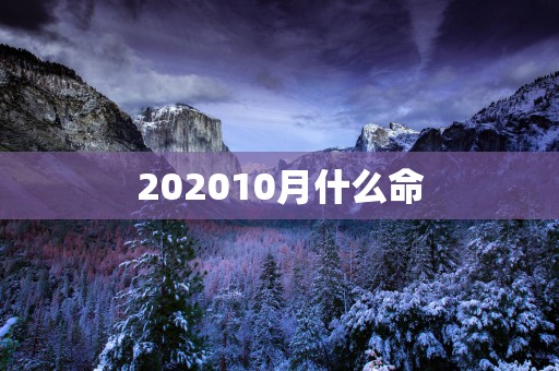 202510月什么命