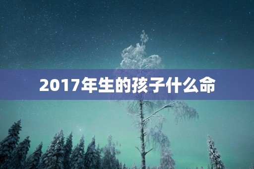 2017年生的孩子什么命