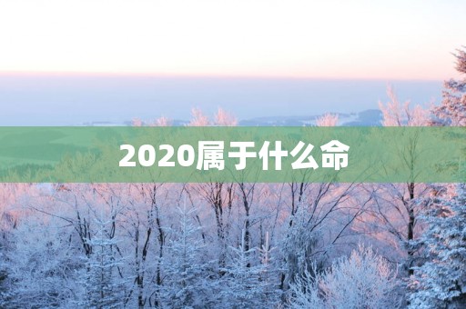 2025属于什么命