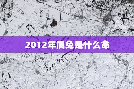 2012年属兔是什么命