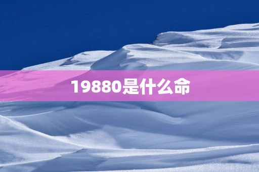19880是什么命