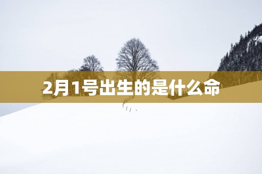 2月1号出生的是什么命