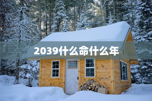 2039什么命什么年