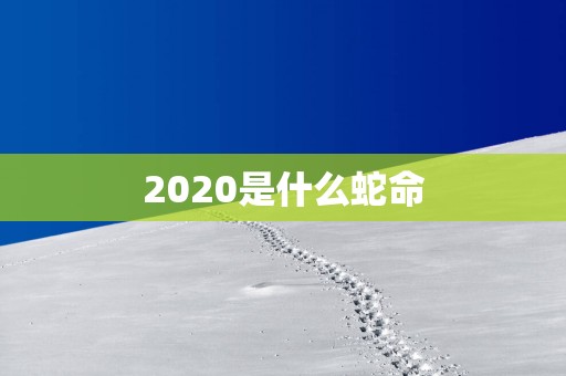 2025是什么蛇命